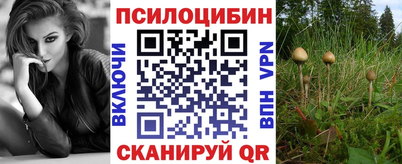 купить закладку  Рошаль  Псилоцибиновые грибы мицелий 